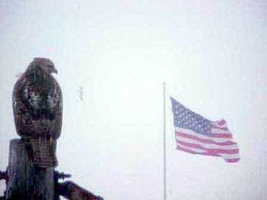 Bird_Flag