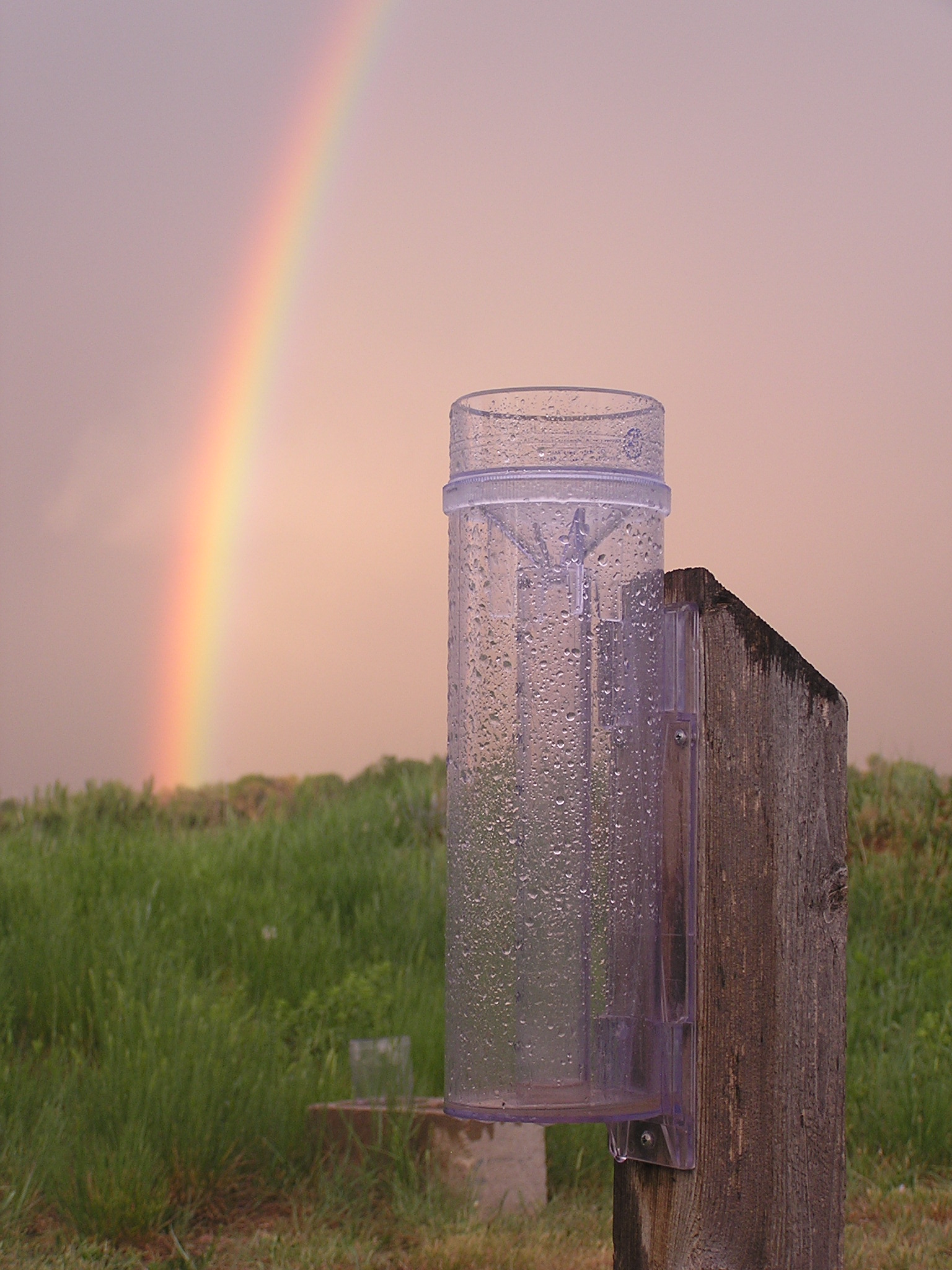 rainbow