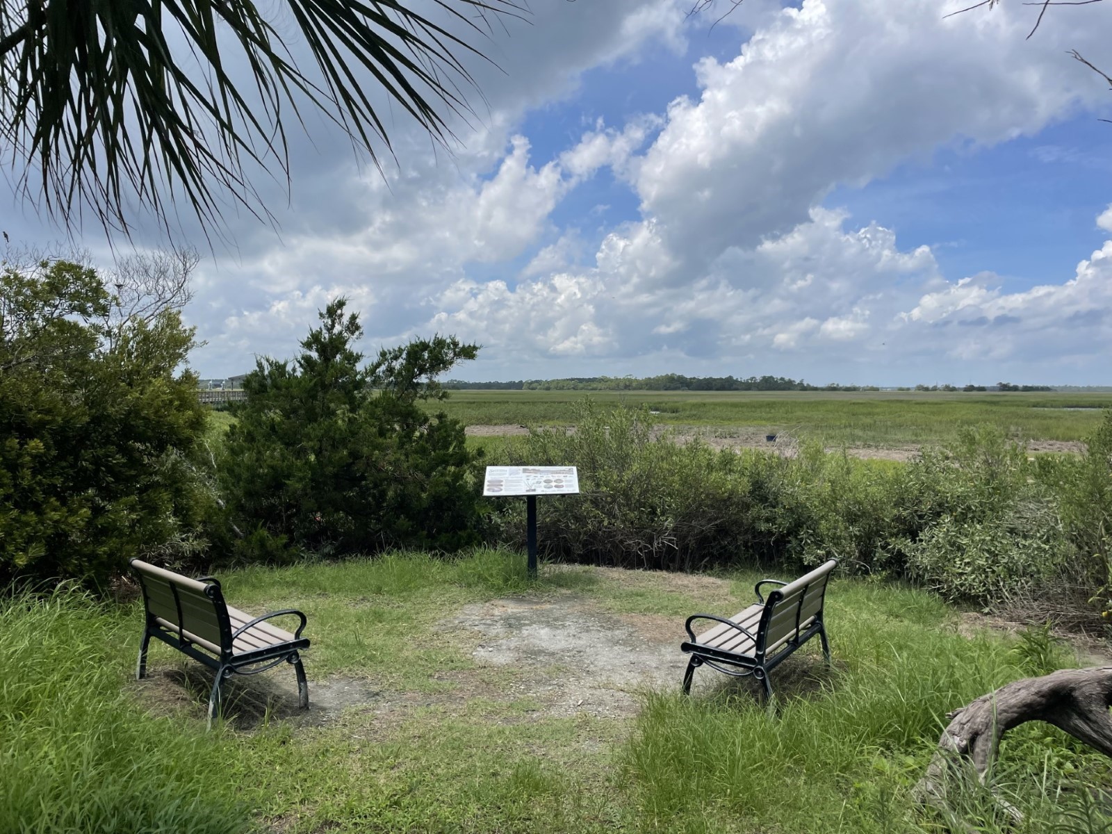 shorebird park_39
