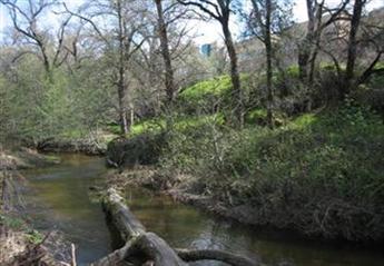 Stormwater