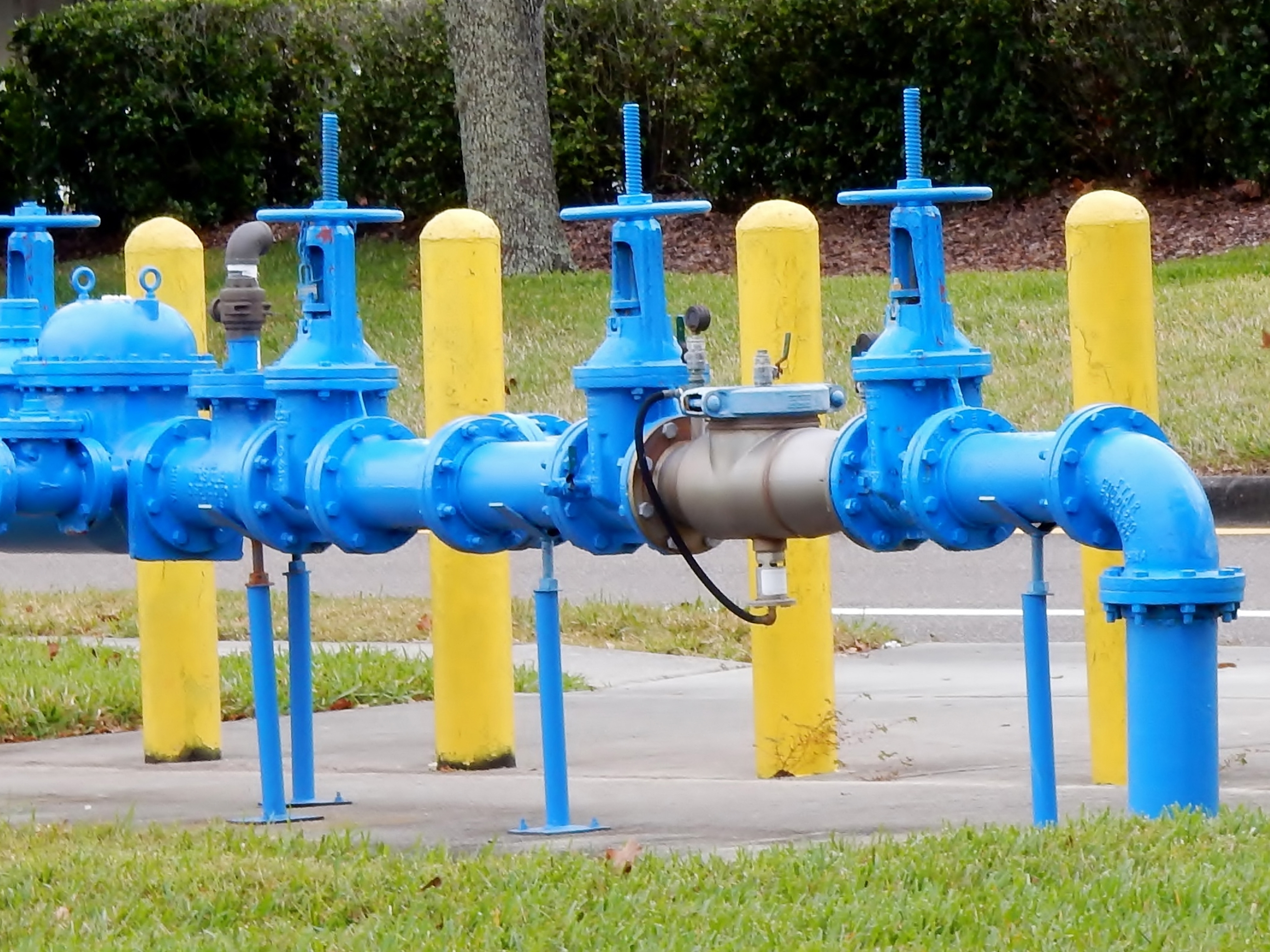 Backflow