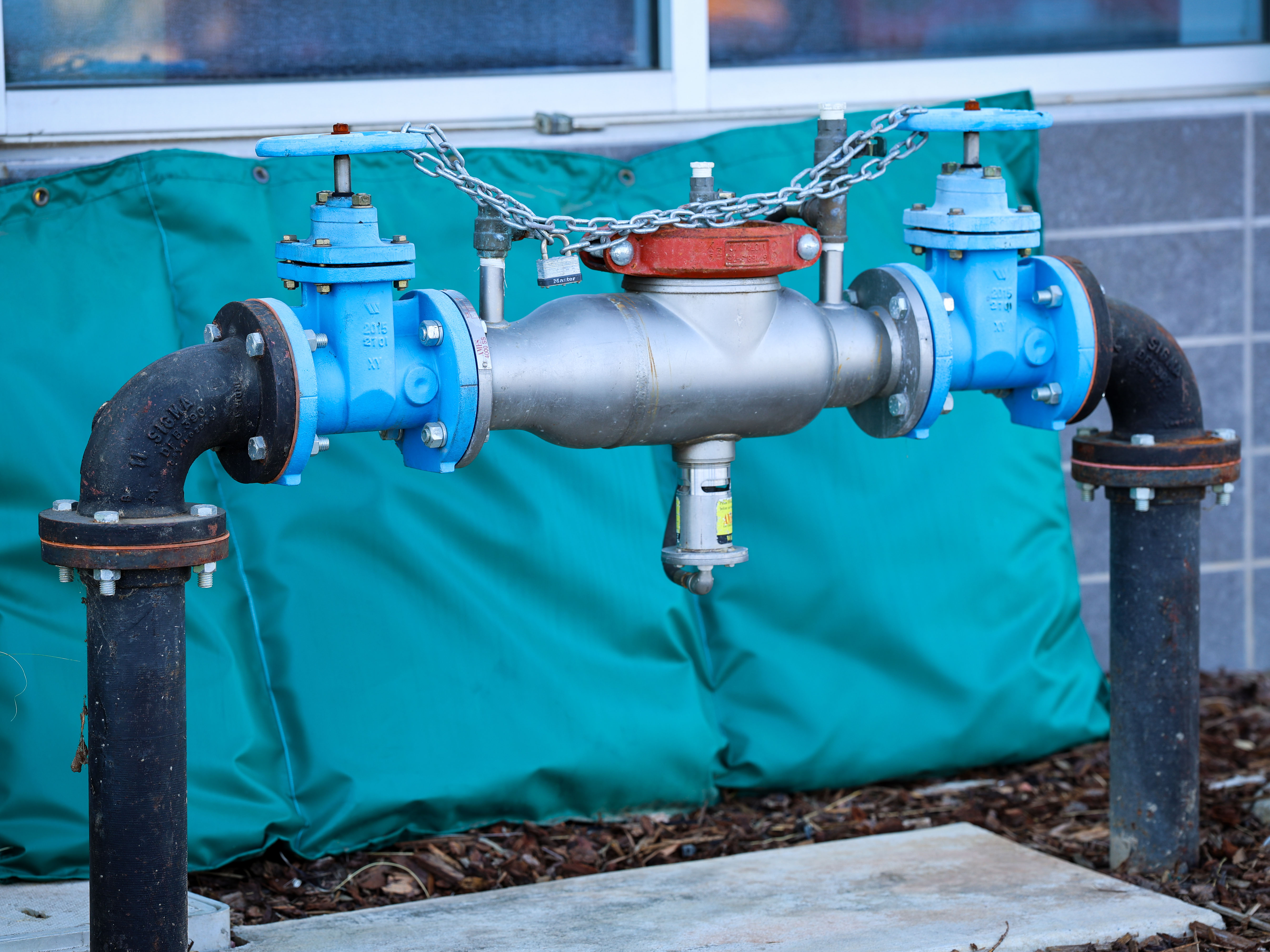 Backflow1