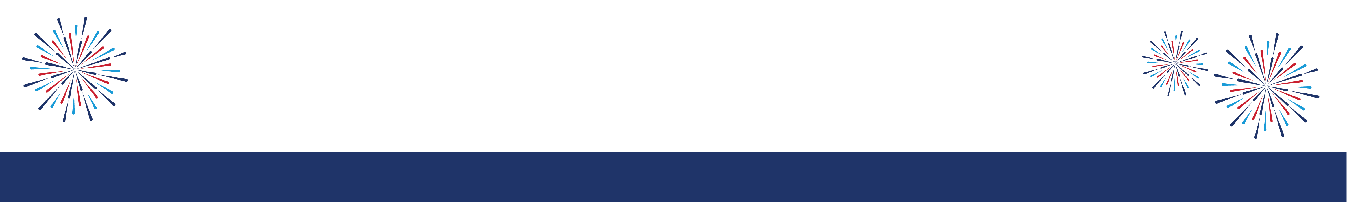 Fireworks_Art_website_Fireworks_footer