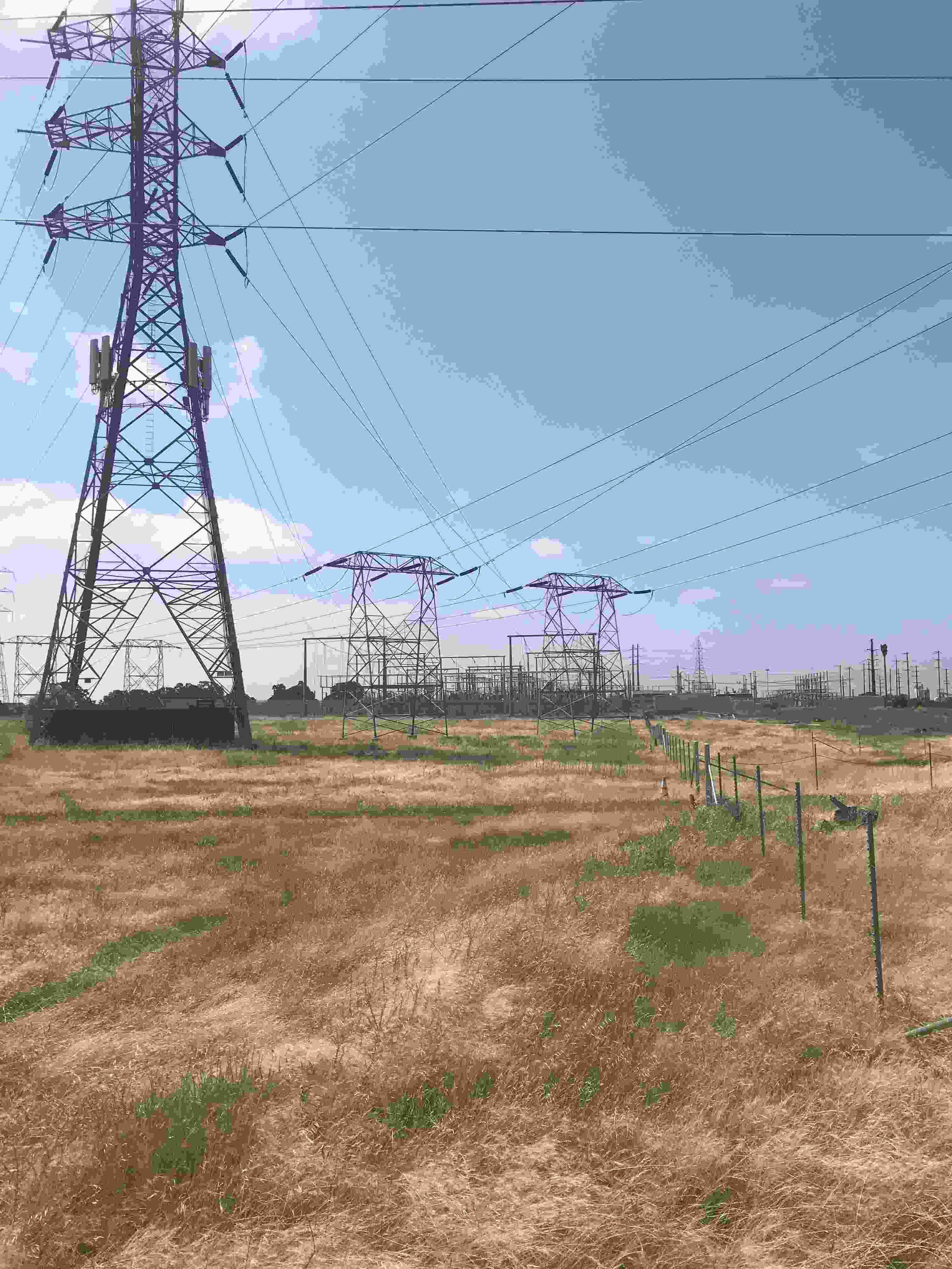 Weed Abatement (1)