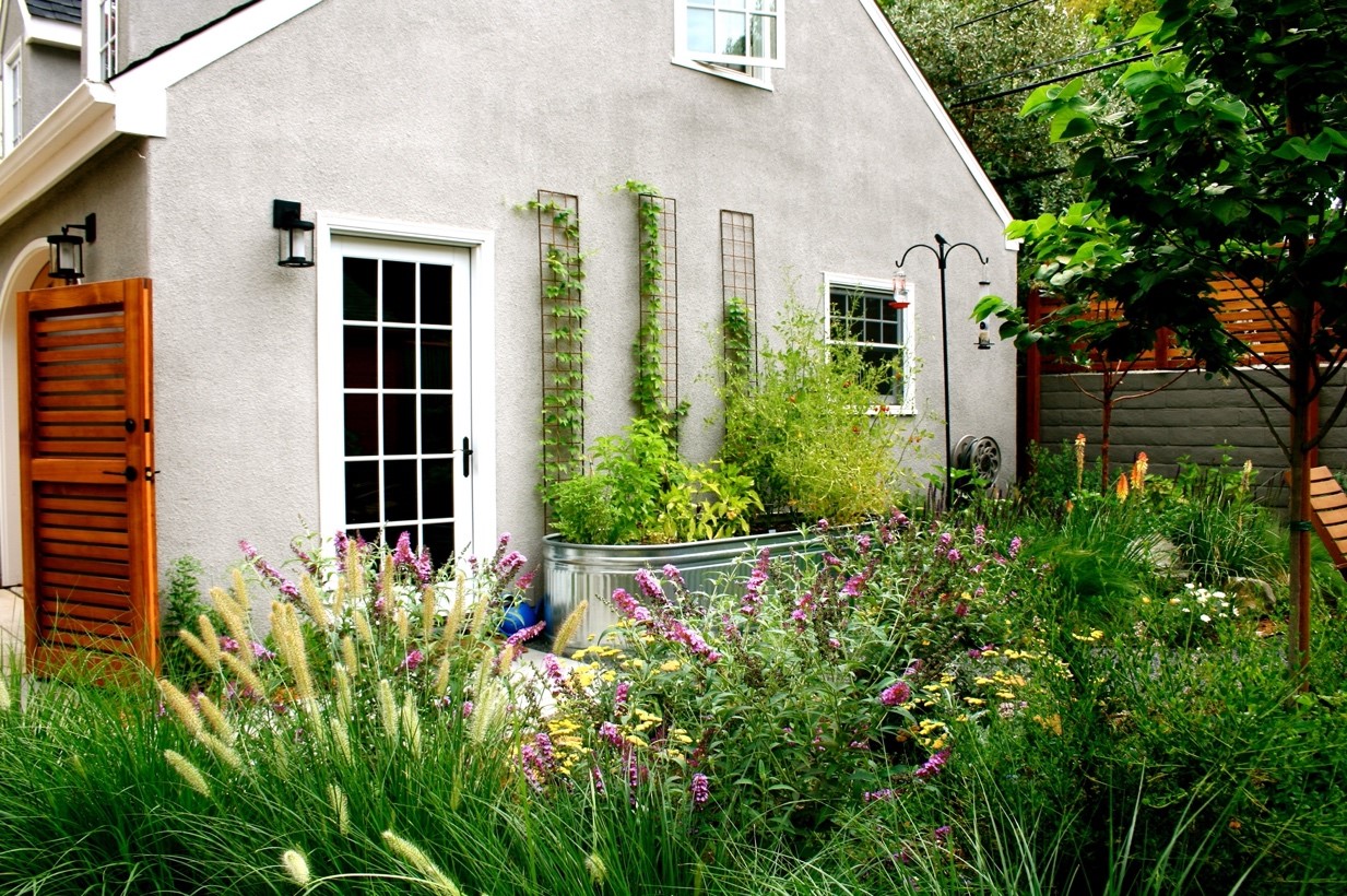 house with flowers and bushes