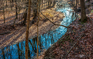 woods in Warren County with a creek running through the middle