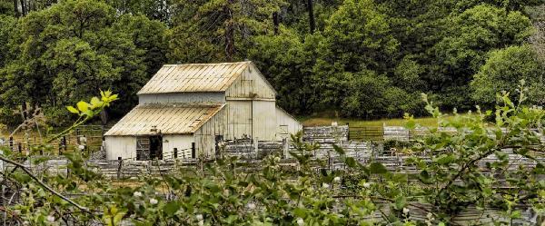 resized_Barn2
