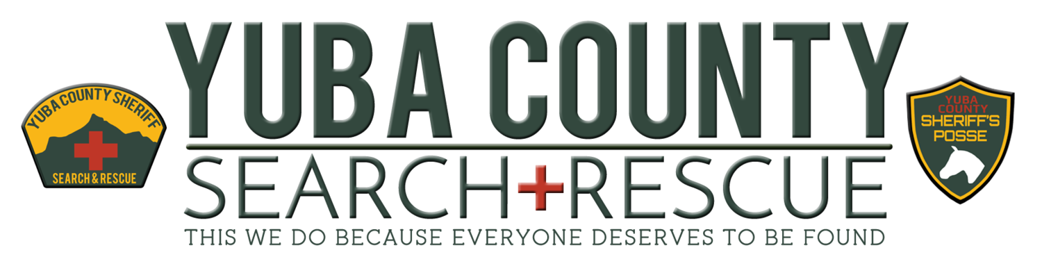 YCSARLogo3